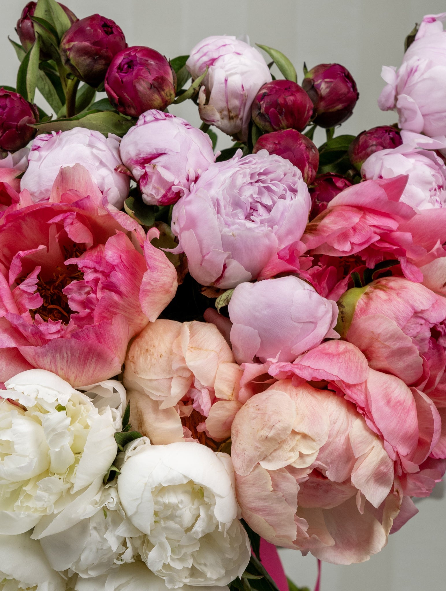 35 Peonies